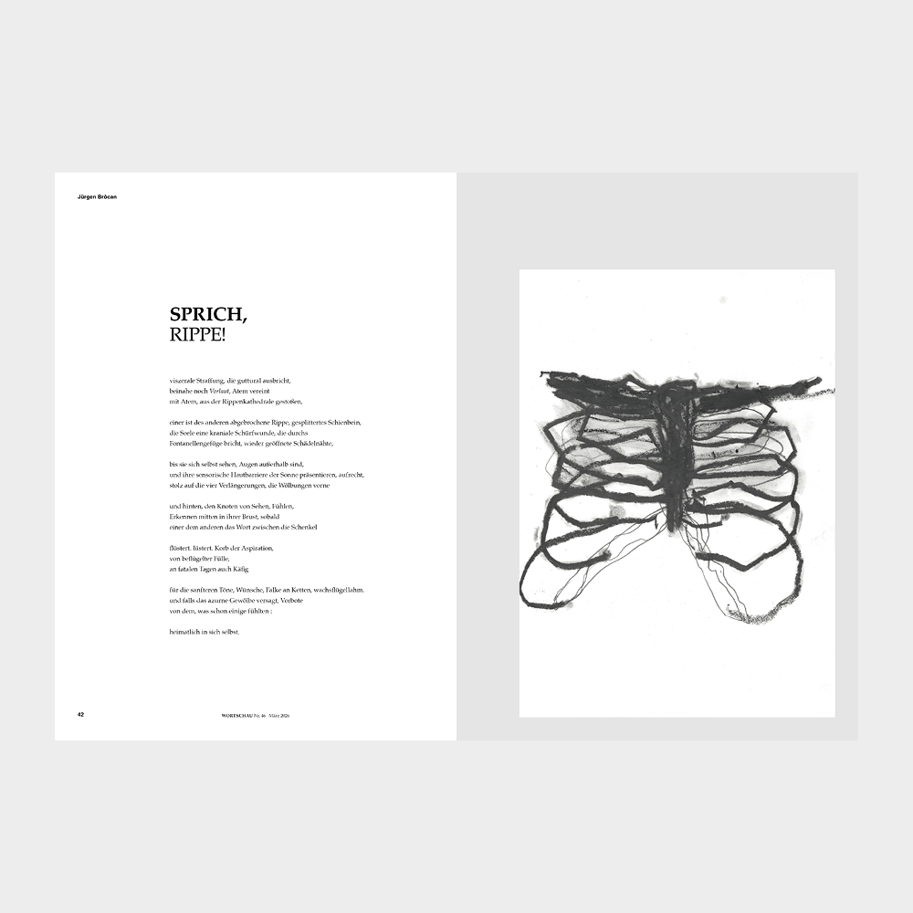WORTSCHAU Nr. 46 – Bild 3