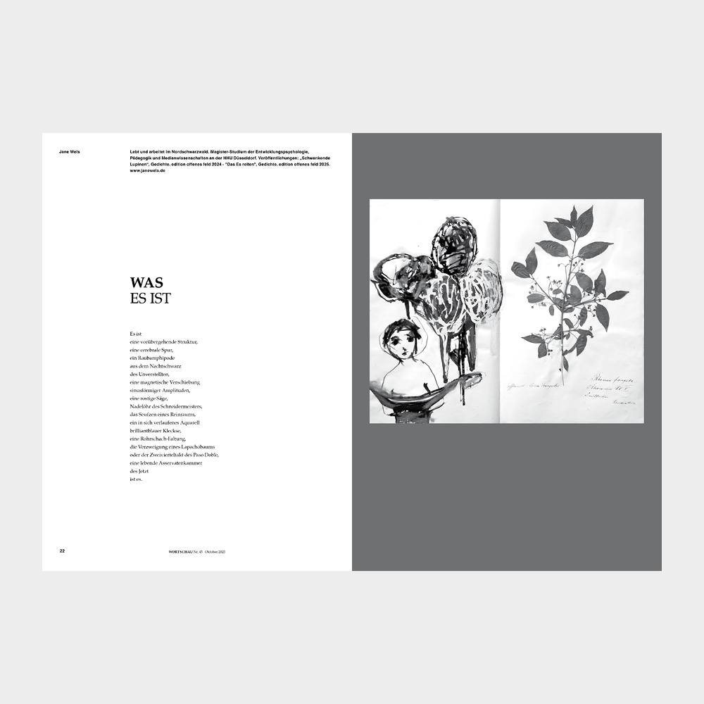 WORTSCHAU Nr. 45 – Bild 4